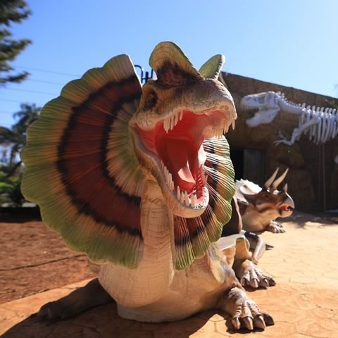 Vale dos Dinossauros Olímpia-SP
