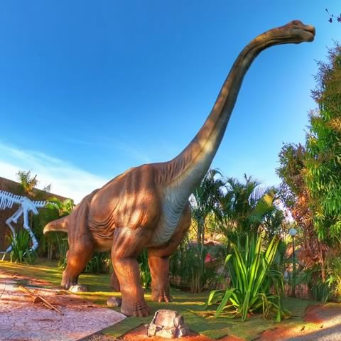 Vale dos Dinossauros Olímpia-SP