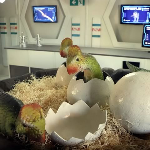 Vale dos Dinossauros Olímpia-SP