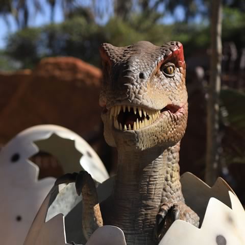 Vale dos Dinossauros Olímpia-SP