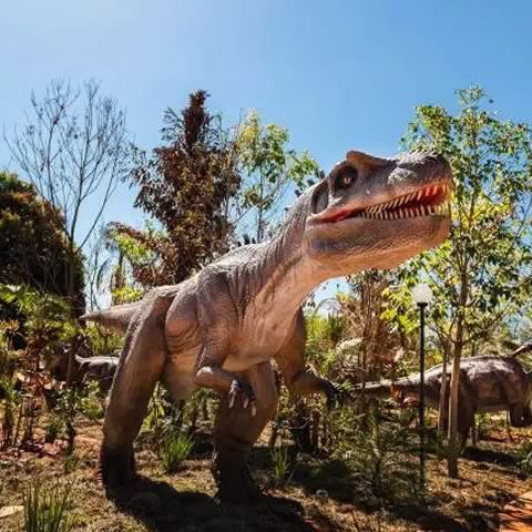 Vale dos Dinossauros Olímpia-SP