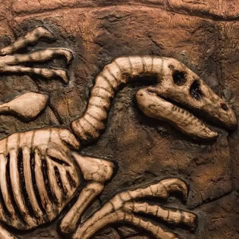 Vale dos Dinossauros Olímpia-SP