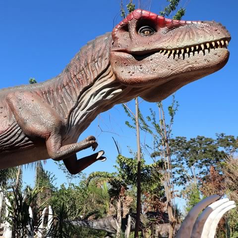 Vale dos Dinossauros Olímpia-SP